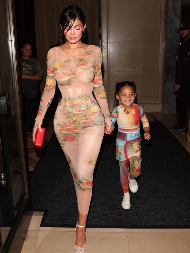 Micro-tendência: Tule estampado