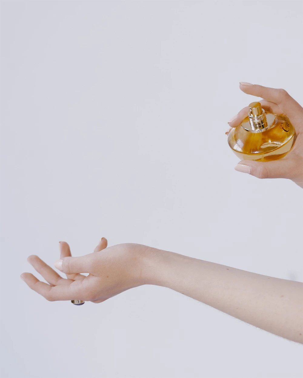 sobreposição de perfumes