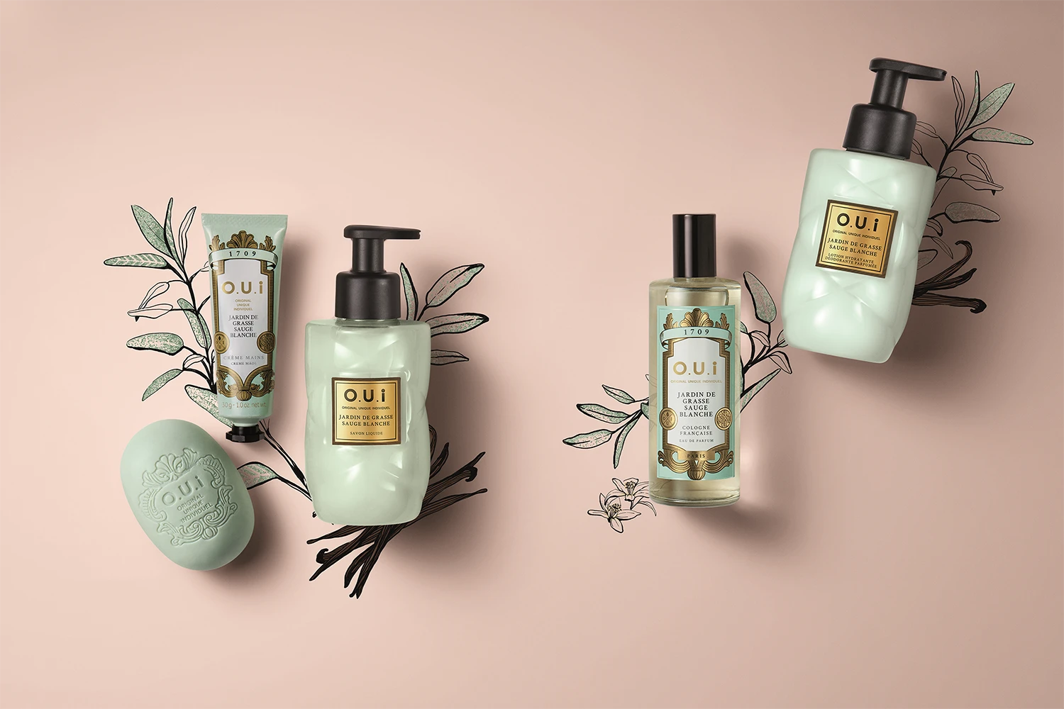 oui jardin de grasse sauge blanche