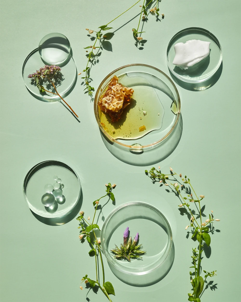 7 marcas brasileiras de Clean Beauty para você conhecer