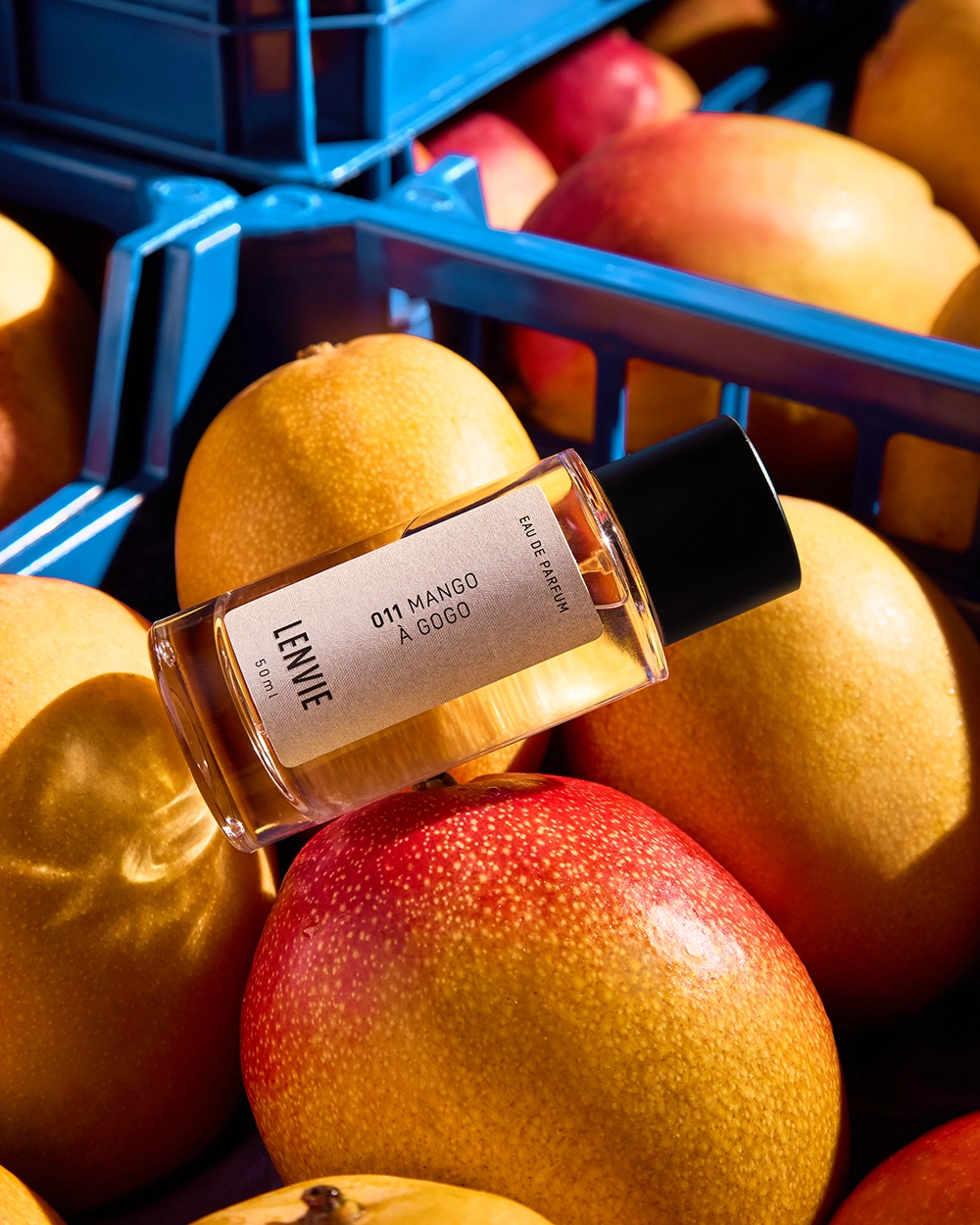 Mango À Gogo, de LENVIE_Créditos UM2 Studio (3)